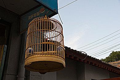 《异度神剑3》战斗画面公布 7月29日正式发售